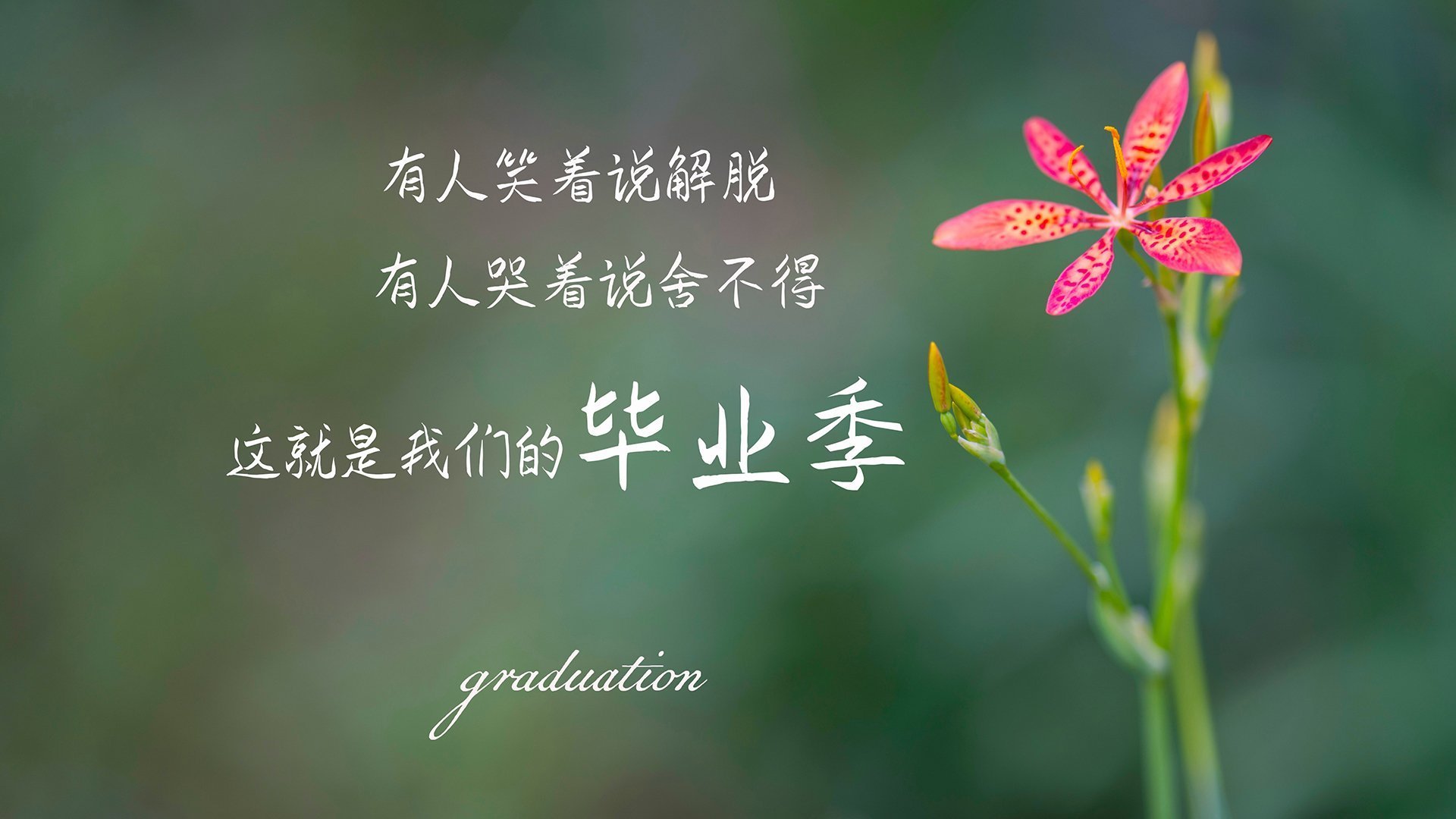 世界举重联赛：训练量化与恢复监测并行提高成绩重复性，2021年举重世界锦标赛